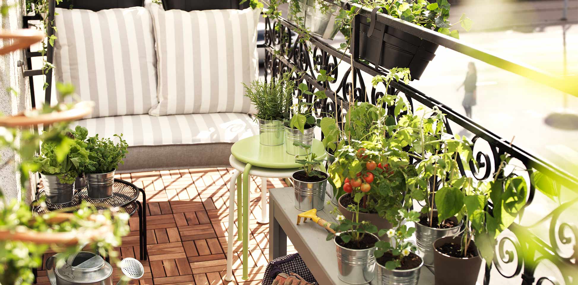 exterior-plantas_PE279236