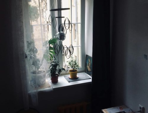 Cómo transformar tu hogar con pequeños cambios 🌿✨