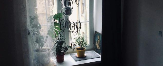 Ambiente moderno con plantas, texturas y luz natural que muestra un hogar renovado