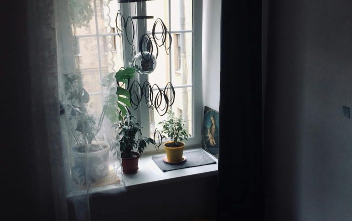 Ambiente moderno con plantas, texturas y luz natural que muestra un hogar renovado