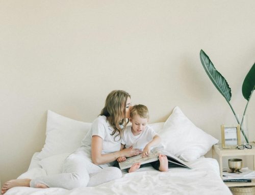 5 plantas de interior ideales para tu hogar 🌿