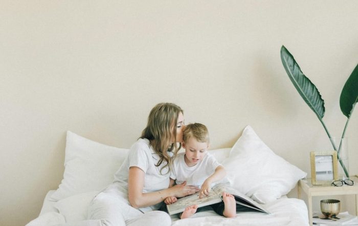 Plantas de interior decorando un living luminoso con estilo natural