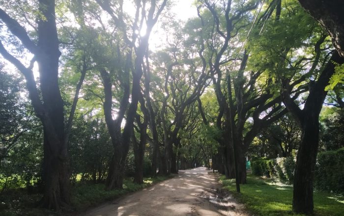 Parque Leloir, zona residencial con bosque y desarrollos inmobiliarios