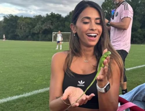 🦎✨ El animal que atrae buena energía y protección en el hogar, según el Feng Shui, y que sorprendió a Antonela Roccuzzo