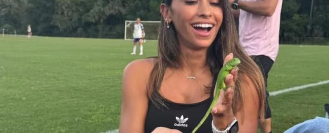 Lagartija en la pared del hogar asociada a buena energía y le gusta a Antonela Roccuzzo