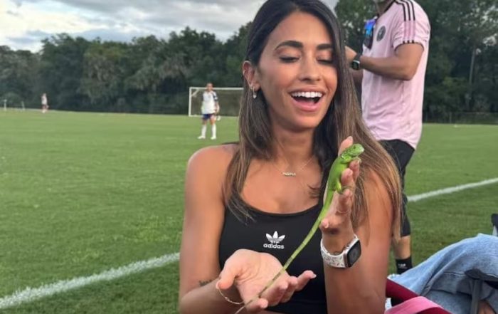 Lagartija en la pared del hogar asociada a buena energía y le gusta a Antonela Roccuzzo