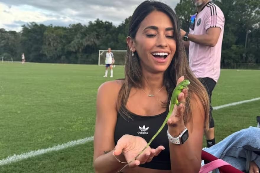 Lagartija en la pared del hogar asociada a buena energía y le gusta a Antonela Roccuzzo