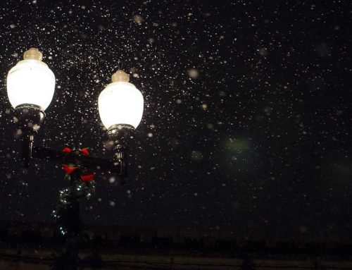 Pasó de ser la avenida favorita de las marcas a tener la mayor cantidad de locales vacíos